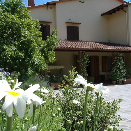Da Ronald ... A Pian Del Papa Guest House Pratovecchio Exterior photo
