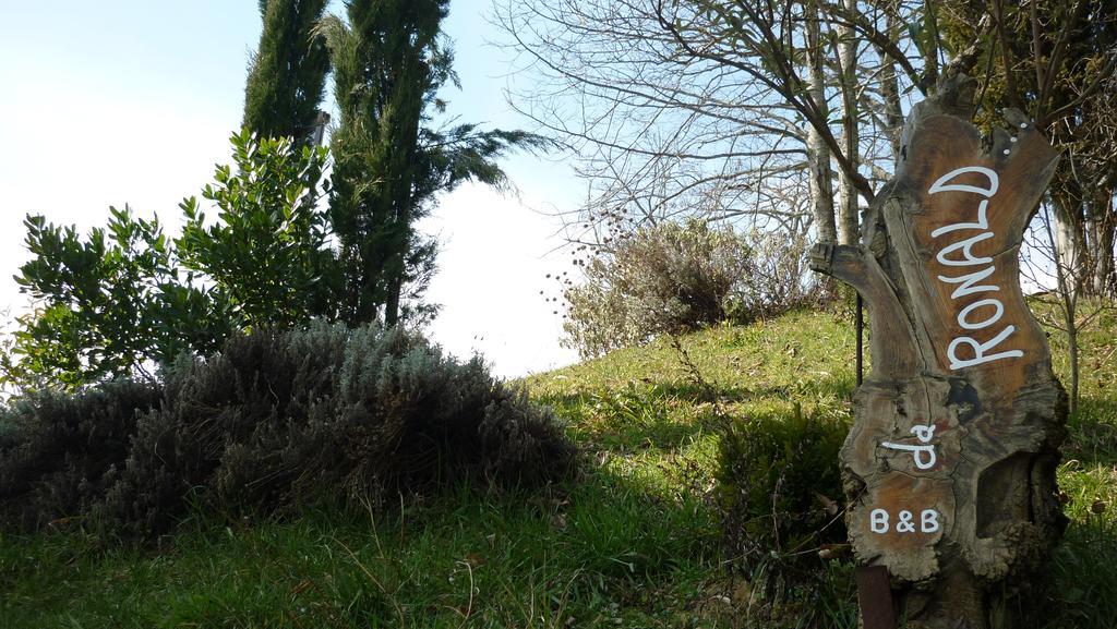 Da Ronald ... A Pian Del Papa Guest House Pratovecchio Exterior photo