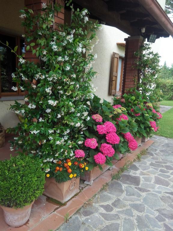 Da Ronald ... A Pian Del Papa Guest House Pratovecchio Exterior photo