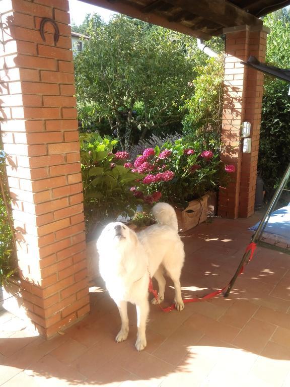 Da Ronald ... A Pian Del Papa Guest House Pratovecchio Exterior photo